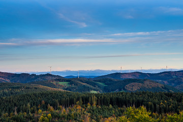 Germany, Endless wide aerial view above beautiful black forest nature landscape, above tree tops at sunset in autumn with colorful autumn foliage between conifer trees