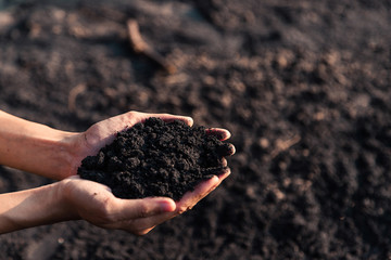 Black sand in woman hand take raise up to show the dark surface texture, have soft gold  light of...