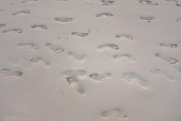 Fototapeta na wymiar foor prints on white sand in Tanzania