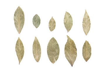 Dried bay leaf isolated on the white background. Top view.