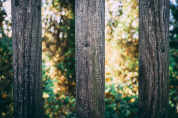 Zaun mit Wald im Hintergrund