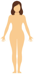 Fototapeta premium Faceless naked woman /nude body , silhouette , outline shape vector illustration /Asian (Japanese,Chinese,Korean etc.)