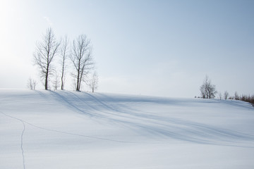 雪影の丘