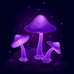 Purple luminous toadstool mushrooms in the dark on a bump, vector illustration on a dark background