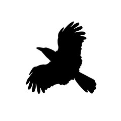 raven crow silhouette on white