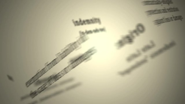 Definition: Indemnity