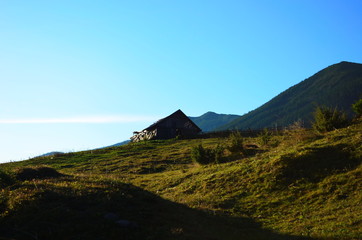 Summer landscape with a lonely house in the Ukrainian Carpathians.