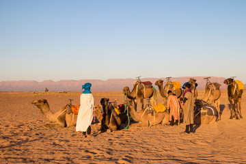 Paseos en Camello por el desierto de Zahora