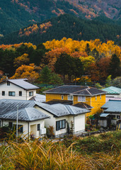 Fototapeta na wymiar The famous vibrant Japanese autumn