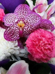 Lower in thailand