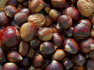 Large group of chesnut and nuts in a basket with some brown colors variations. Edited detailled photography close-up nearly full frame
