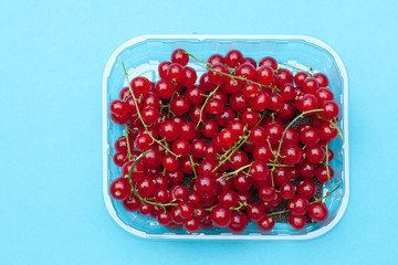 Tasty red currant in plastic container.