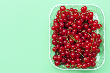 Tasty red currant in plastic container.