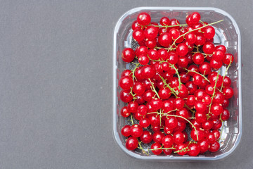 Tasty red currant in plastic container.