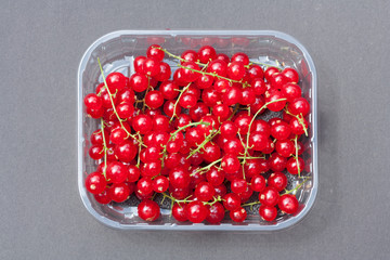 Tasty red currant in plastic container.
