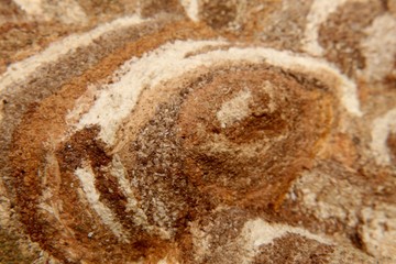 close up shot of Vespirary Or Wasp beetle nest texture background usage. Grey And Brown Texture. Construct, abstract.
