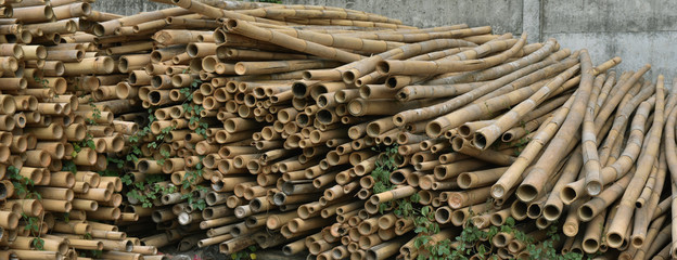 A pile of cut bamboo wood for construction ( texture, background, pattern)