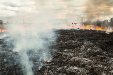Obraz premium Fire in the field near the city