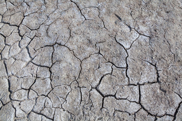 Cracked dry ground