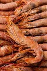Background of frozen big shrimps closeup, sea food.