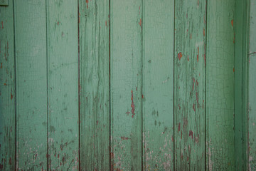 Interior Design - green wooden wall, old wooden board texture, grunge background