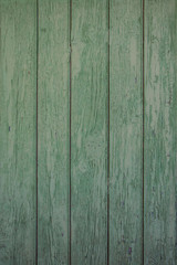 Fototapeta na wymiar Interior Design - green wooden wall, old wooden board texture, grunge background