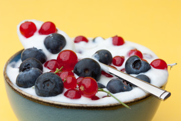 Bowl of yogurt with fresh fruit.