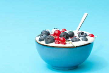 Bowl of yogurt with fresh fruit.