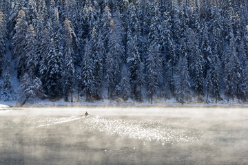 Foggy morning on lake with a sportler rowing a boat into the fog