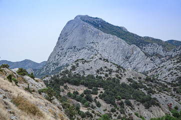 Mountain landscape, slope and mountain vegetation.