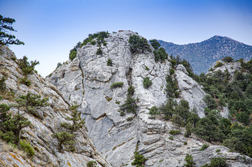 Mountain landscape, slope and mountain vegetation.