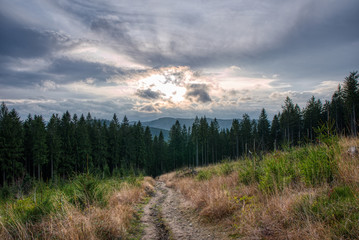 meadow in the mountains intersected by a forest path and around spruce forests with a beautiful sky through which they try to break through the sun