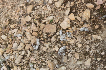 texture of stones, rock texture, background of stones