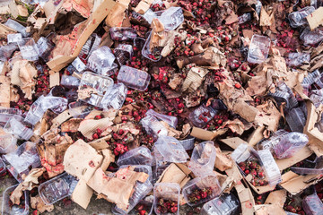 Rotten strawberries on the landfill