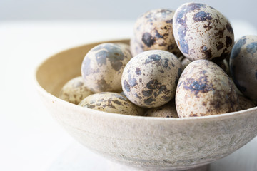 Obraz premium Quail egg on wood