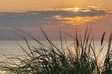 Obrazy na Szkle  Zachód słońca na wybrzeżu morza z trawą. Kolorowe zachmurzone wieczorne niebo.
