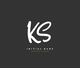 K S KS Beauty vector initial logo, handwriting logo of initial signature, wedding, fashion, jewerly, boutique, floral and botanical with creative template for any company or business.