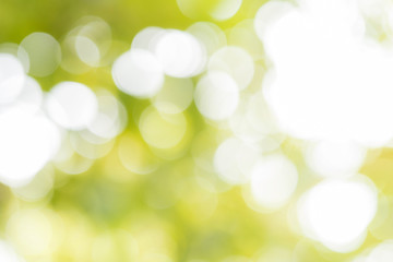 Obraz premium bokeh green background