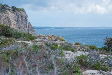 Fototapeta na wymiar Paysage de maquis proche de la plage de Macarella, une des plus belles plages de Minorque, îles Baléares.