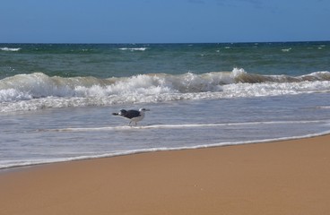 Am Strand von Monte Gordo