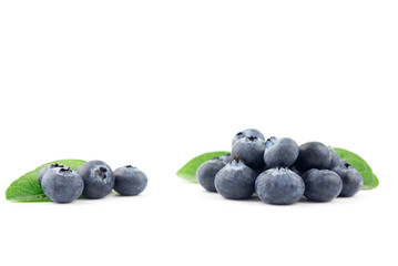 blueberries isolated on white background