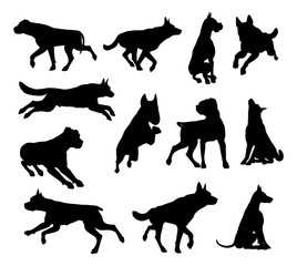 A set of detailed animal silhouettes of a pet dog