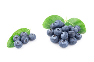 blueberries isolated on white background