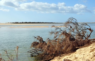 Tavira--an der Algarve