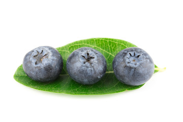 blueberries isolated on white background