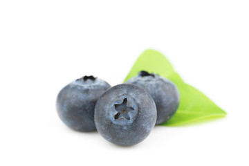 blueberries isolated