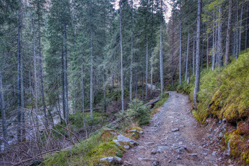 A mountain road in a valley with a stream on the side