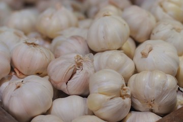 Organic Garlic, Ingredients for Cooking, Native Garlic in Philippines. Selective Focus. 