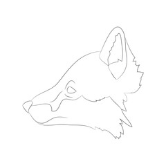 fox portrait vector illustration, line drawing, wild world
