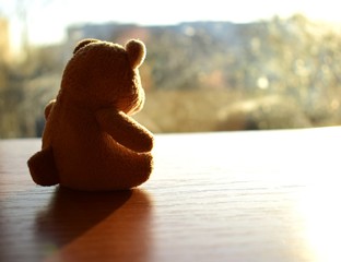 teddy bear toy looks at the setting sun